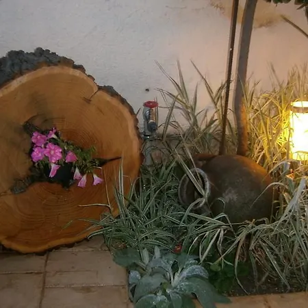 Border House