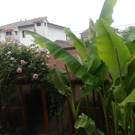 Border House *