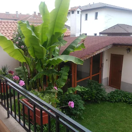 Pensionat Border House *
