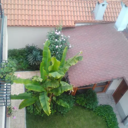 Border House